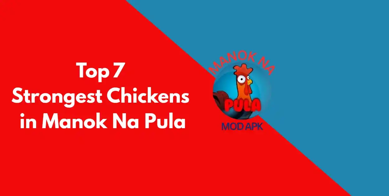 Top 7 strongest chickens in Manok Na Pula