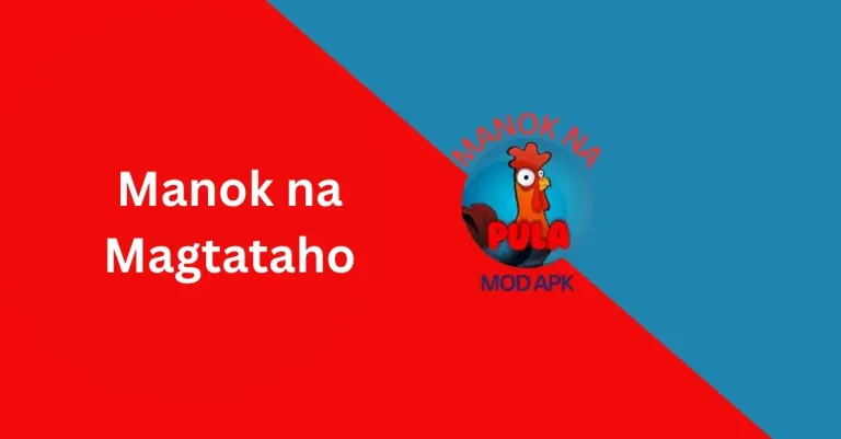 Manok na Magtataho